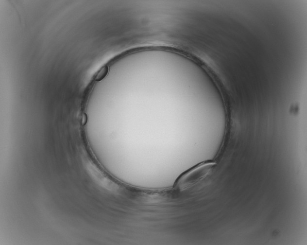 X0000113761460200910211158