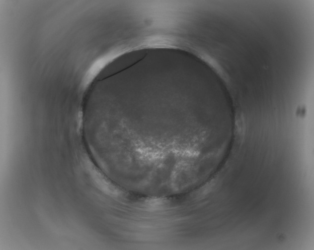 X0000113761461200910211158