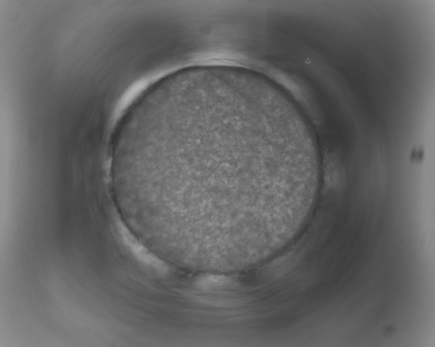 X0000113761462200910211158