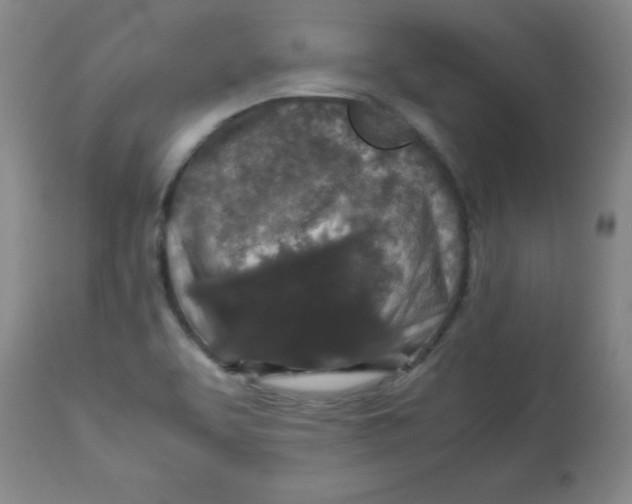 X0000113761463200910211158