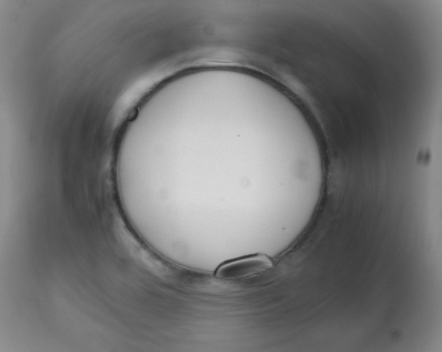 X0000113761464200910211158