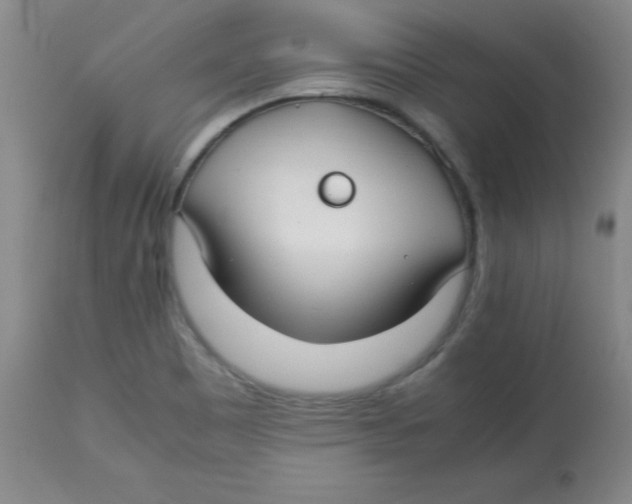 X0000113761465200910211158