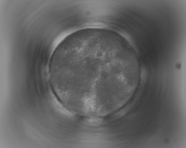 X0000113761466200910211158