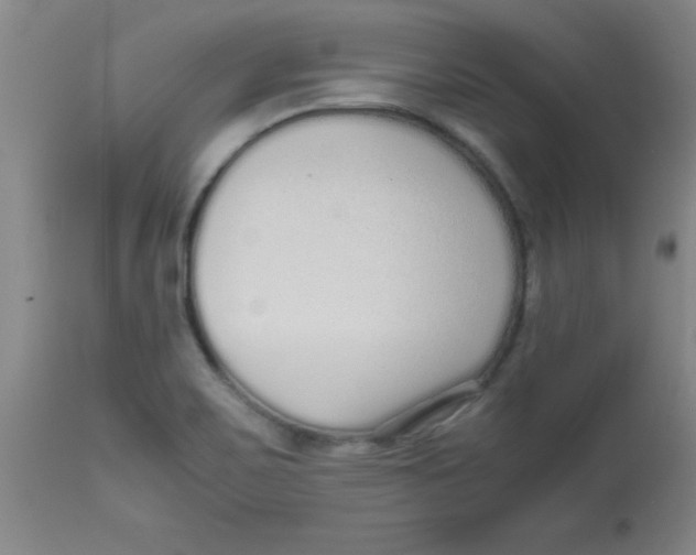 X0000113761467200910211158