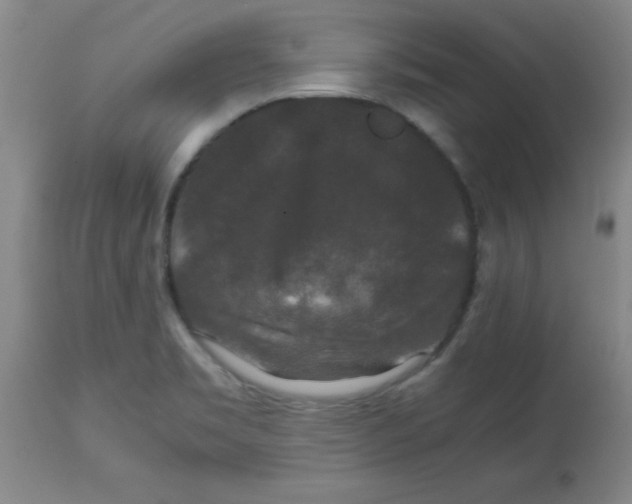 X0000113761469200910211158