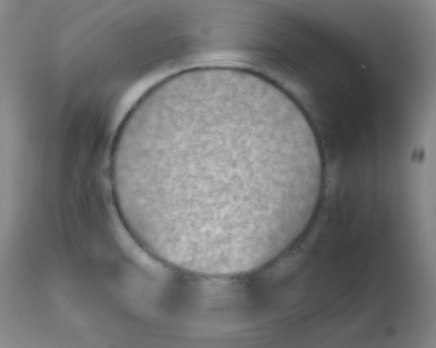 X0000113761470200910211158