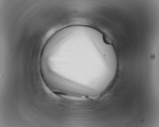 X0000113761471200910211158