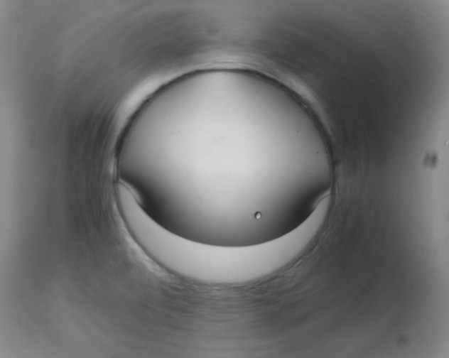 X0000113761472200910211158