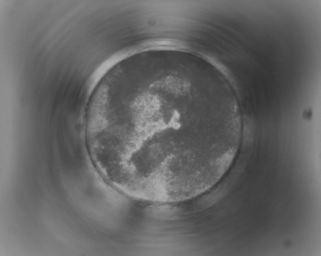 X0000113761474200910211158