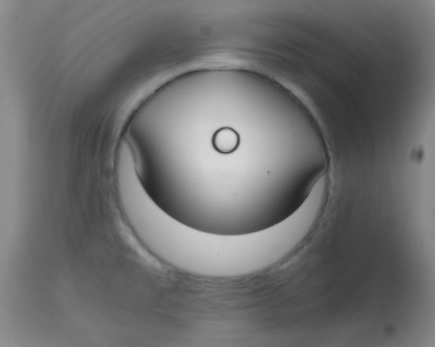 X0000113761477200910211158