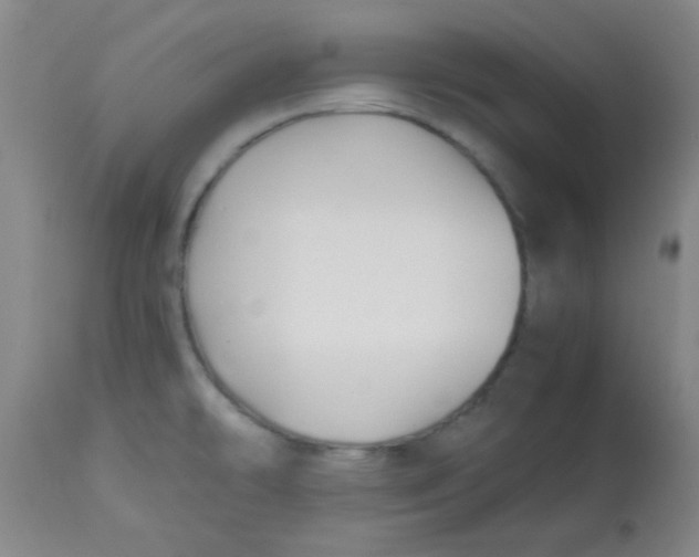 X0000113761478200910211158