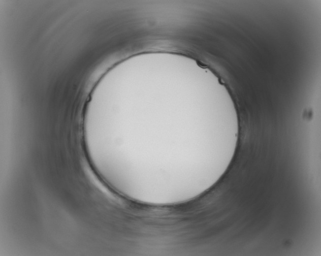 X0000113761479200910211158