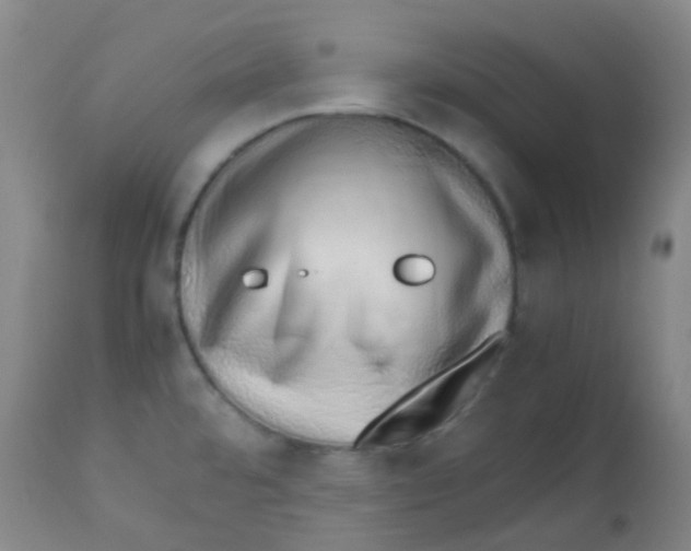 X0000113761480200910211158