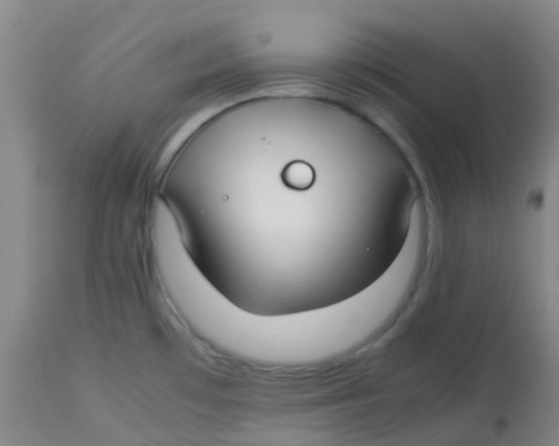 X0000113761481200910211158