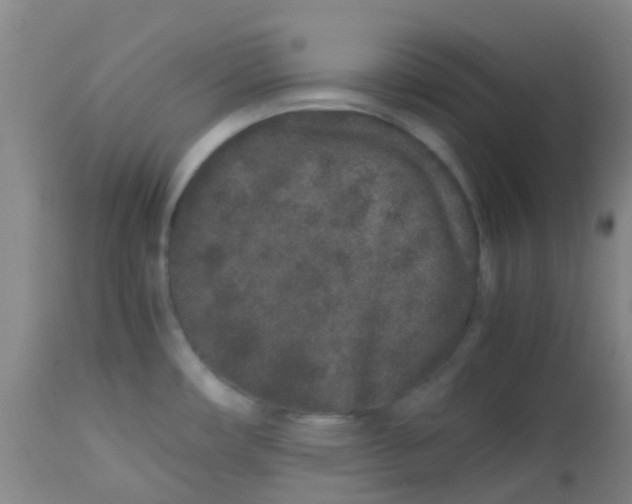 X0000113761482200910211157