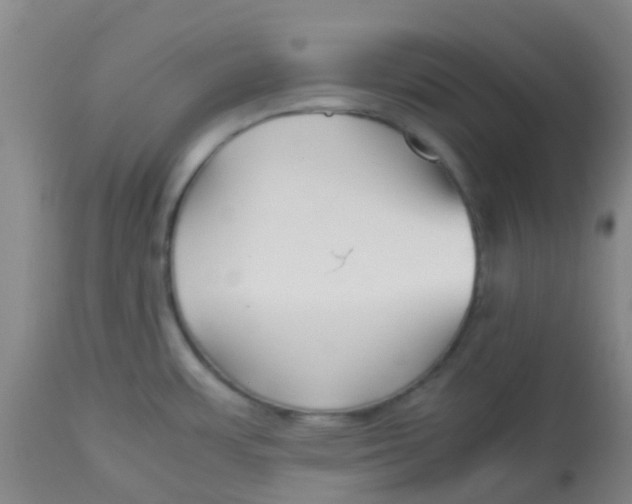 X0000113761483200910211157