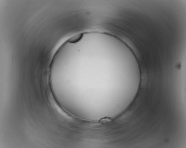 X0000113761484200910211157