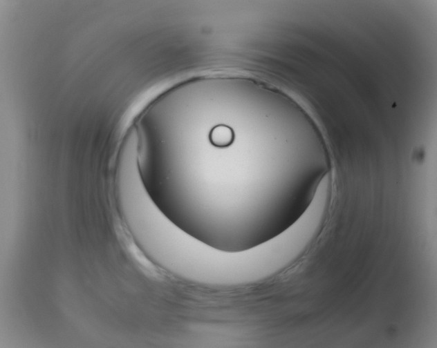 X0000113761485200910211157