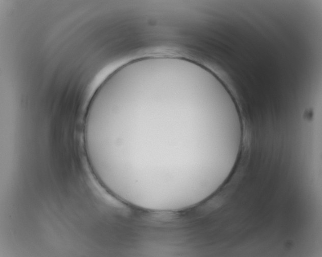 X0000113761486200910211157