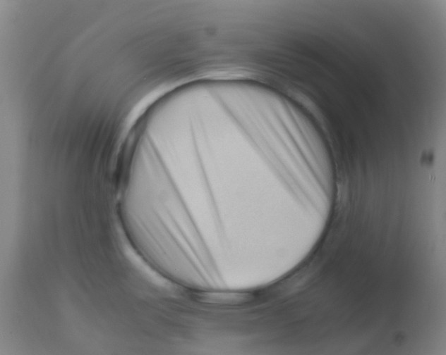 X0000113761487200910211157