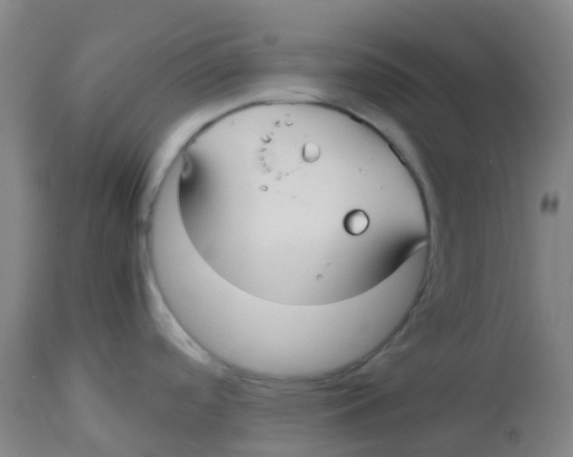 X0000113761488200910211157