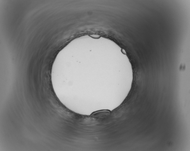 X0000113761489200910211157