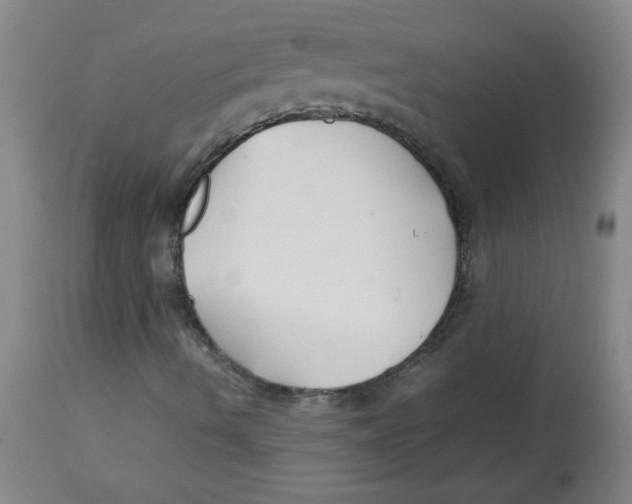 X0000113761490200910211157