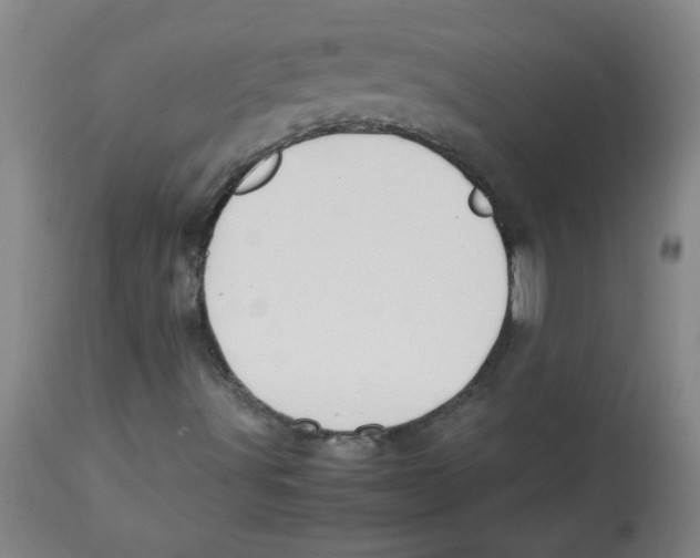 X0000113761491200910211157