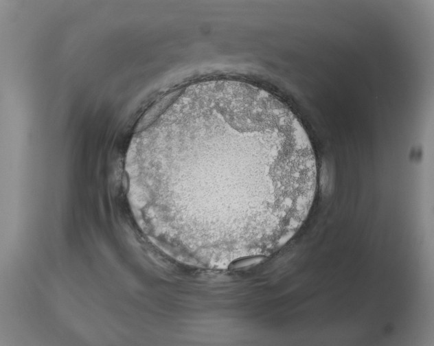 X0000113761492200910211157