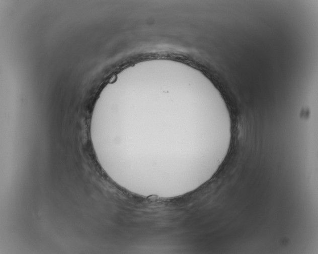 X0000113761493200910211157