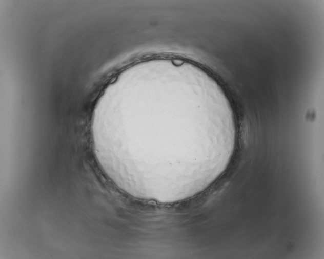 X0000113761494200910211157