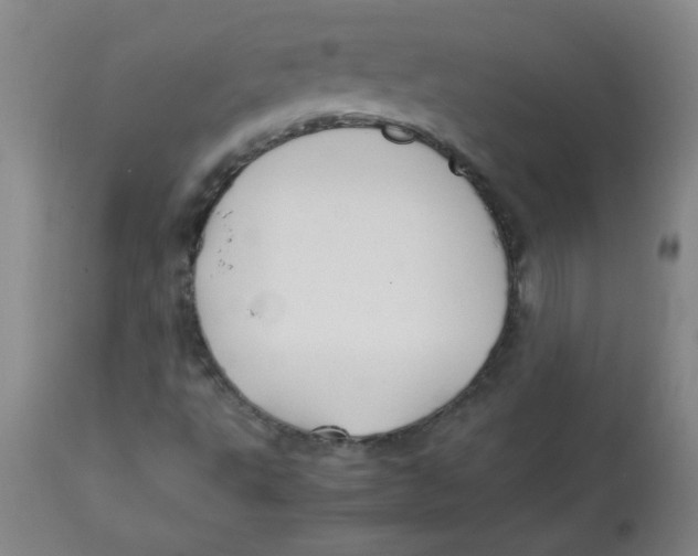 X0000113761495200910211157