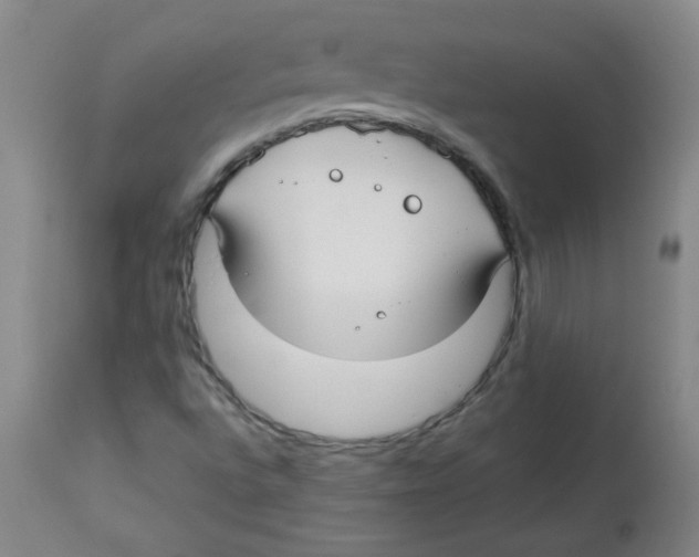 X0000113761496200910211157