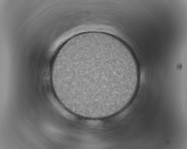 X0000113761498200910211157