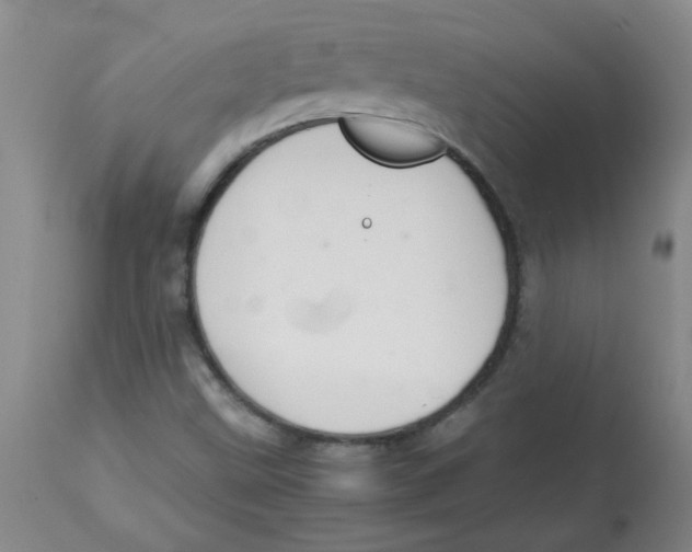 X0000113761499200910211157