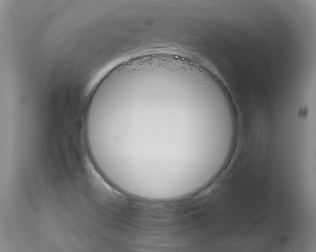 X0000113761500200910211157