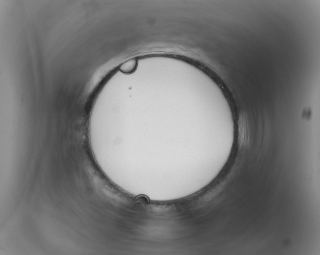 X0000113761501200910211157