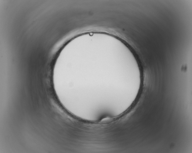 X0000113761502200910211157