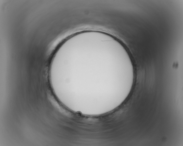 X0000113761503200910211157