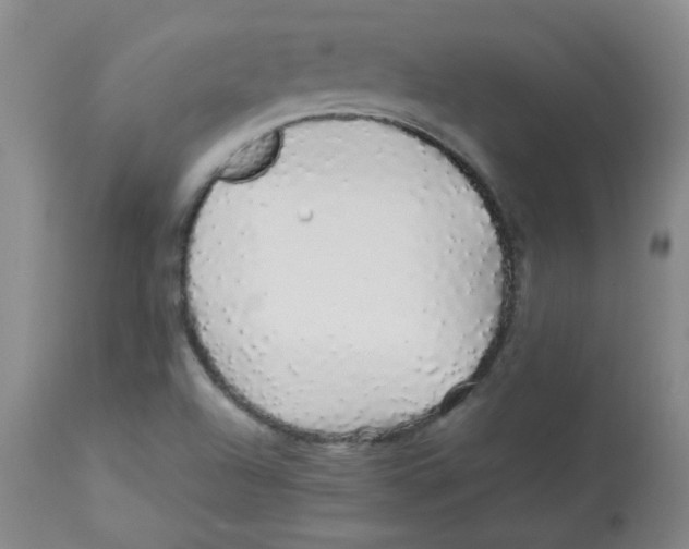 X0000113761504200910211157