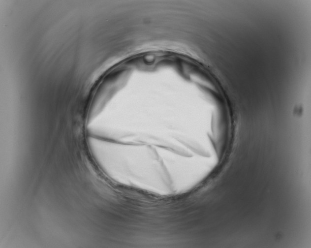 X0000113761505200910211157