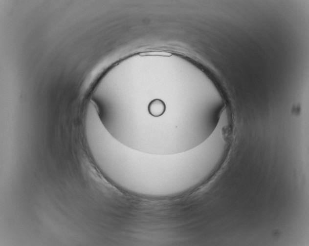 X0000113761506200910211157