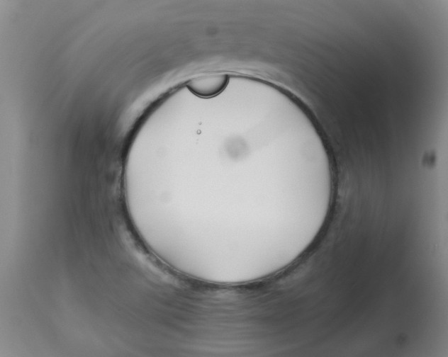 X0000113761507200910211157