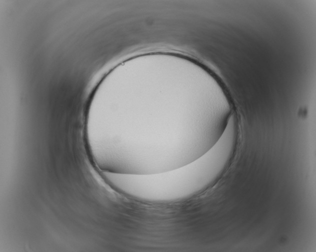 X0000113761508200910211157