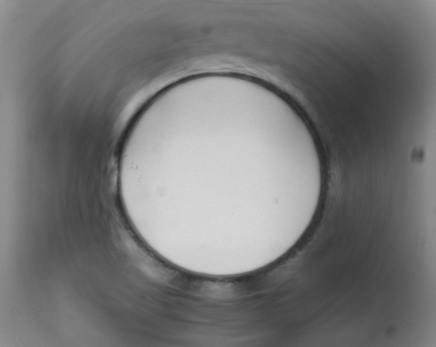 X0000113761509200910211157