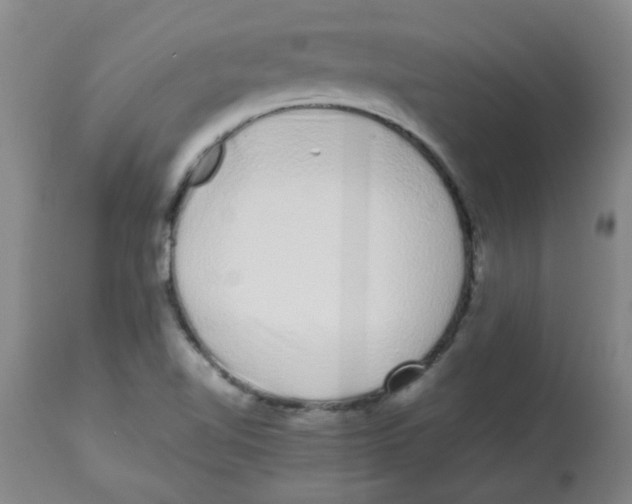 X0000113761510200910211157