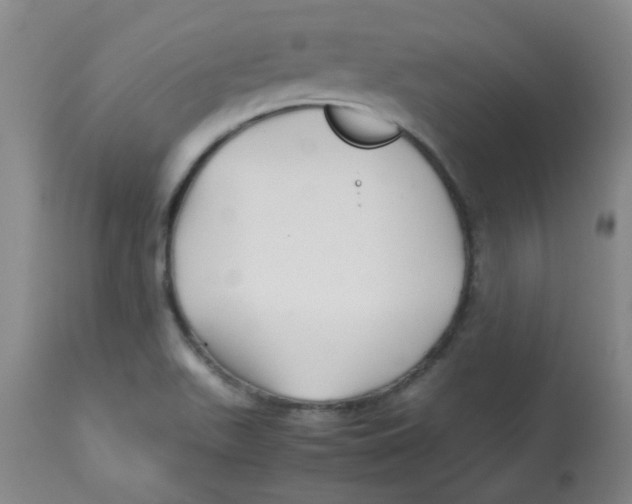 X0000113761511200910211157