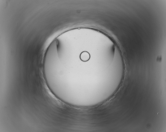 X0000113761512200910211157