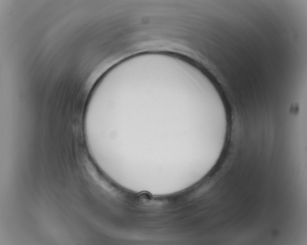 X0000113761513200910211157