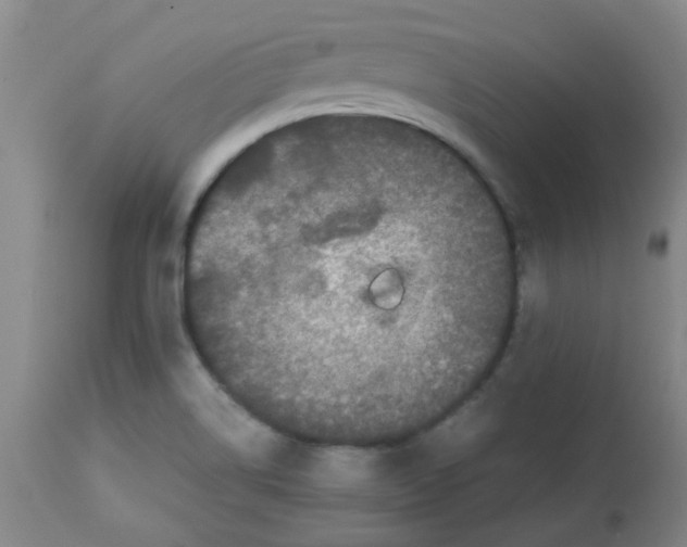 X0000113761514200910211157